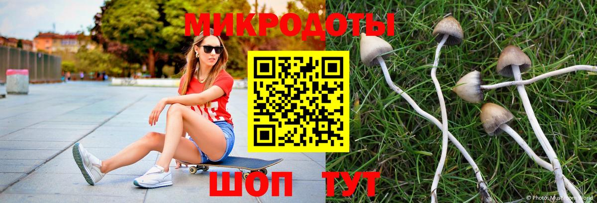 Галлюциногенные грибы MAGIC MUSHROOMS Советский
