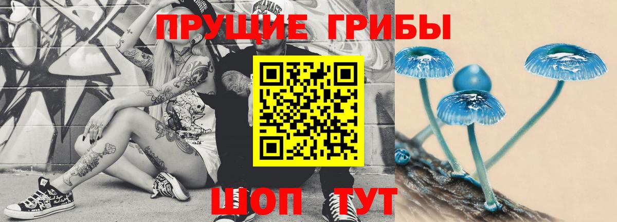 Советский  Галлюциногенные грибы Psilocybe  Вход с VPN 
